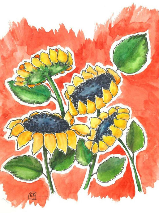 sunflower watercolour illustration