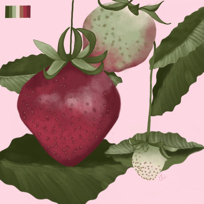 limited palette tone & texture study