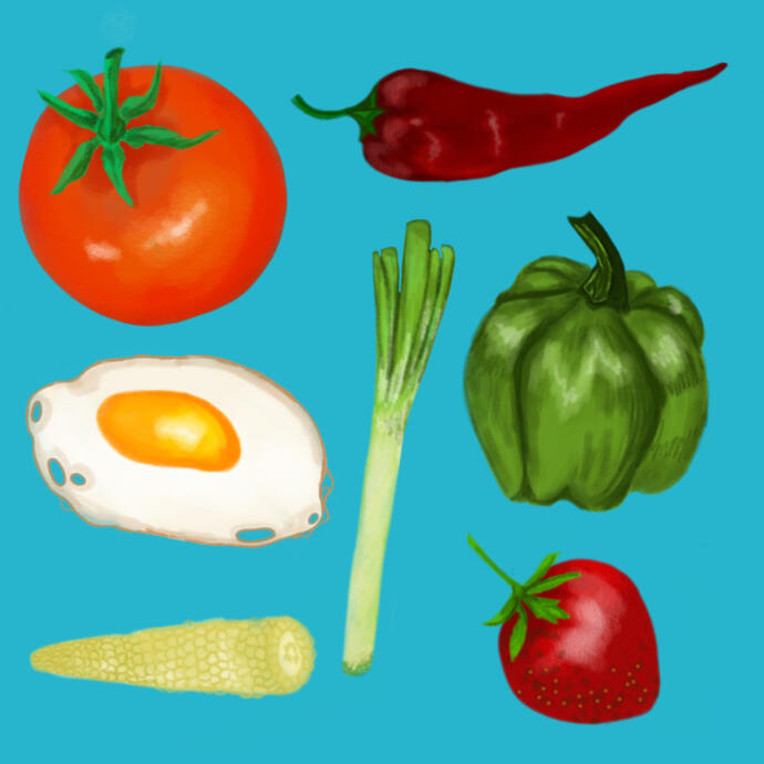 food illustrations